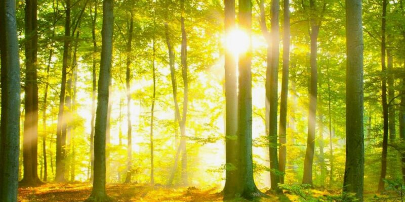 Bild für Flyer Bild für Flyer